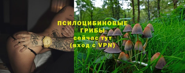 таблы Аркадак