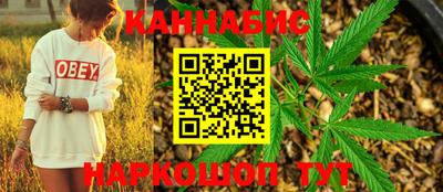 Альфа ПВП Ярославль
