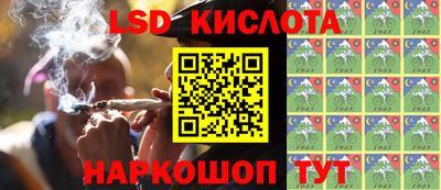 Альфа ПВП Ярославль