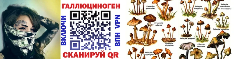 Псилоцибиновые грибы Psilocybe  Радужный 
