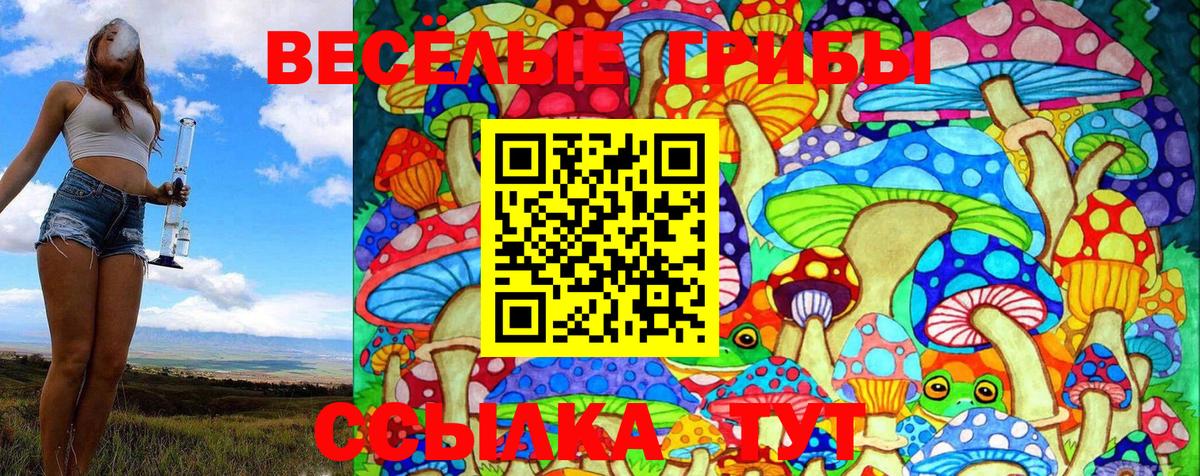 Псилоцибиновые грибы Magic Shrooms  как найти наркотики  Радужный  Вход с VPN 